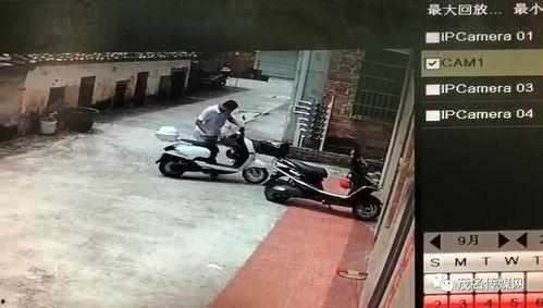 老油条爆料的视频,视频内容深度解析